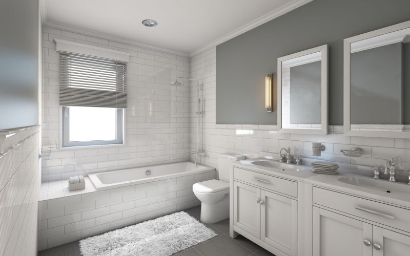 Modern Bathroom Vanity and Fixtures